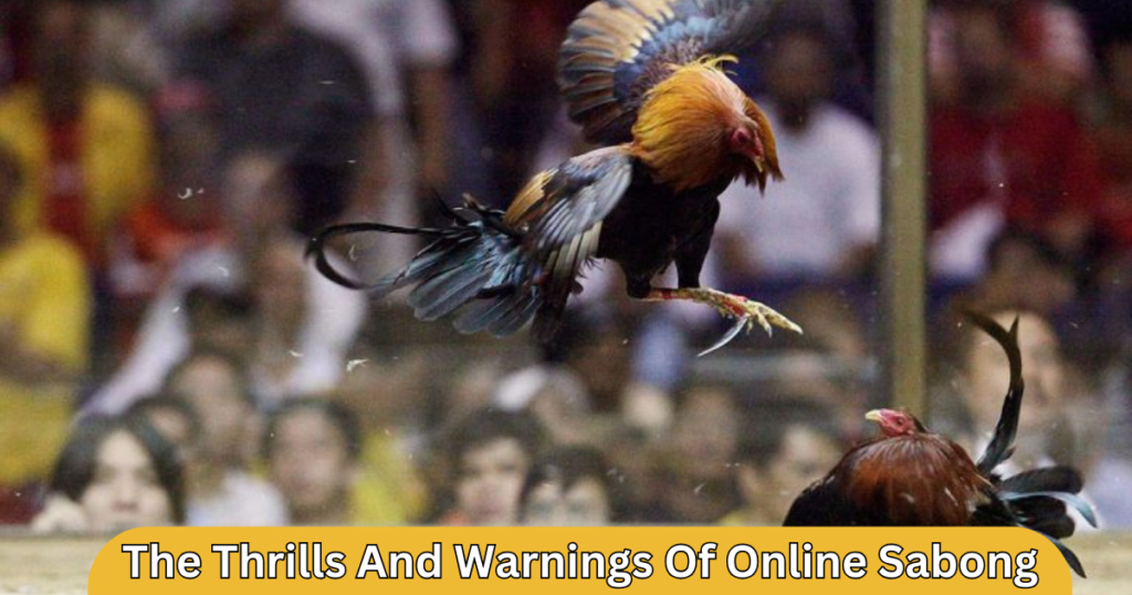 The thrills and warnings